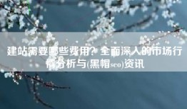 建站需要哪些费用？全面深入的市场行情分析与(黑帽seo)资讯