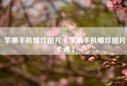 苹果手机爆炸图片（苹果手机爆炸图片卡通）