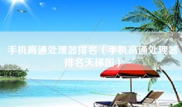 手机高通处理器排名（手机高通处理器排名天梯图）