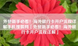 外贸新手必看！海外银行卡开户流程详解手机搜狐网「外贸新手必看！海外银行卡开户流程详解」
