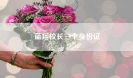 蓝翔校长三个身份证