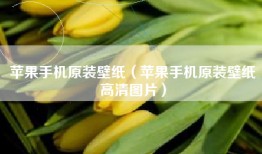 苹果手机原装壁纸（苹果手机原装壁纸高清图片）