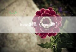 itunes制作（itunes做）