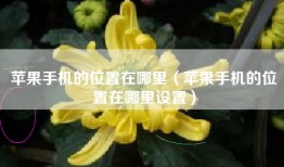 苹果手机的位置在哪里（苹果手机的位置在哪里设置）