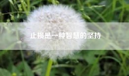止损是一种智慧的坚持