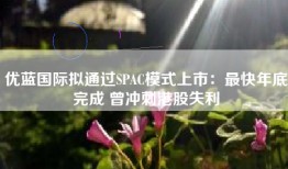 优蓝国际拟通过SPAC模式上市：最快年底完成 曾冲刺港股失利