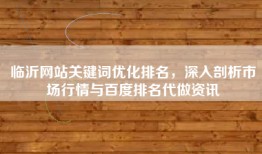 临沂网站关键词优化排名，深入剖析市场行情与百度排名代做资讯