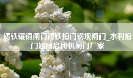 铸铁镶铜闸门铸铁拍门钢坝闸门_水利拍门涵闸启闭机闸门厂家