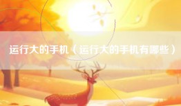 运行大的手机（运行大的手机有哪些）