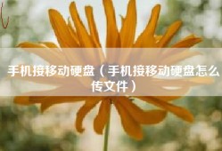 手机接移动硬盘（手机接移动硬盘怎么传文件）