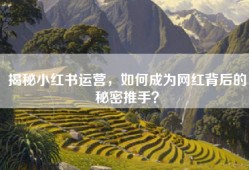 揭秘小红书运营，如何成为网红背后的秘密推手？