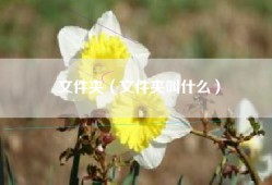 文件夹（文件夹叫什么）