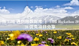当 TiDB 遇到图数据库 ｜ TiDB Hackathon 2020 优秀项目分享