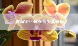 青岛VIPCODE在线少儿编程