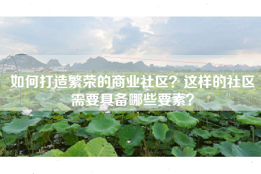 如何打造繁荣的商业社区？这样的社区需要具备哪些要素？