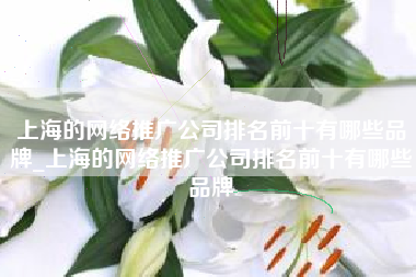 上海的网络推广公司排名前十有哪些品牌_上海的网络推广公司排名前十有哪些品牌