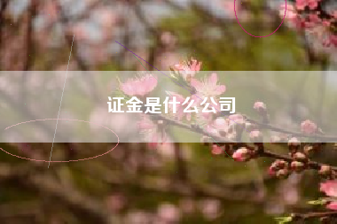 证金是什么公司