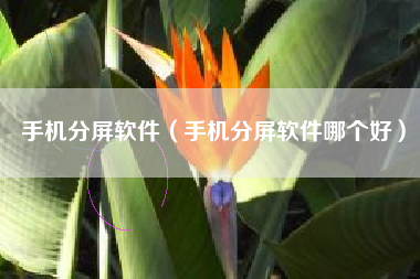 手机分屏软件（手机分屏软件哪个好）